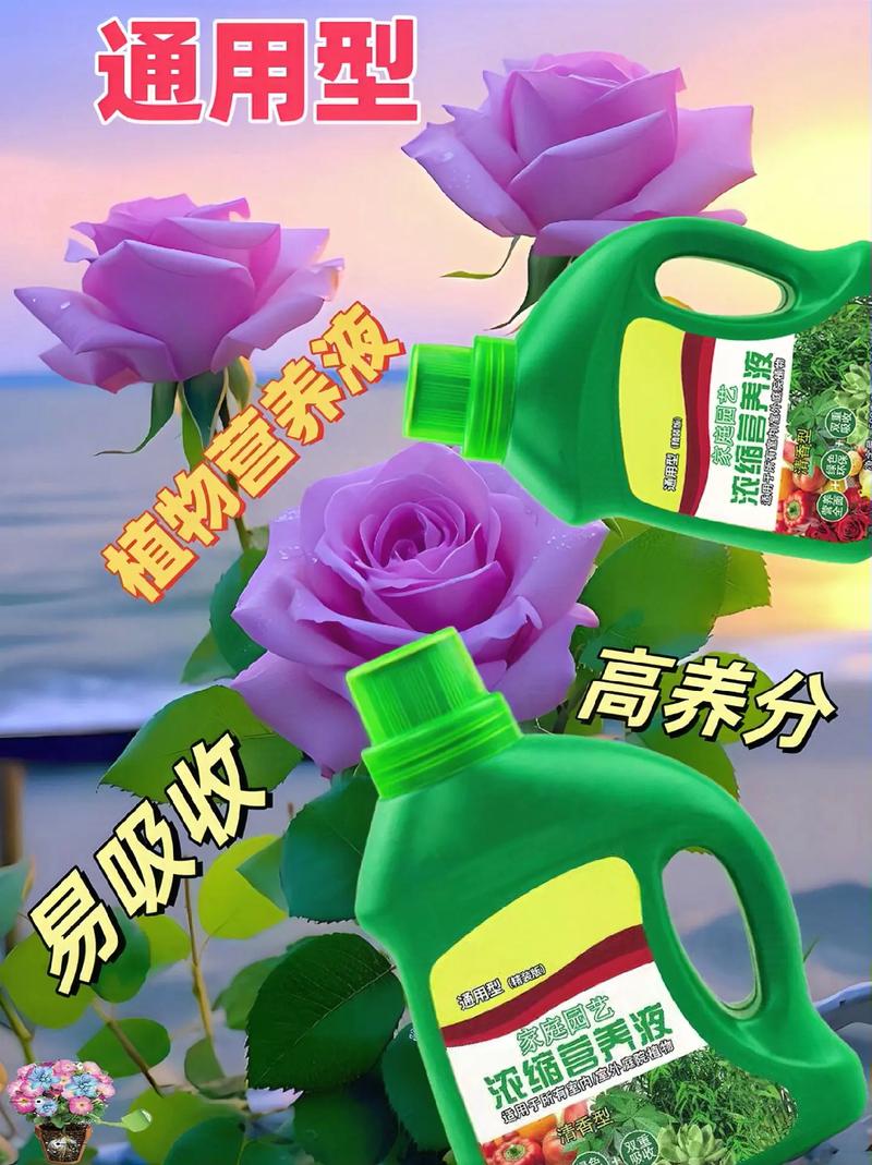 颖卿科技蔬果植物浓缩营养液 科学配比与双重吸收，开启家庭种植新纪元
